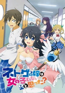 Netoge no Yome wa Onnanoko ja Nai to Omotta? Online